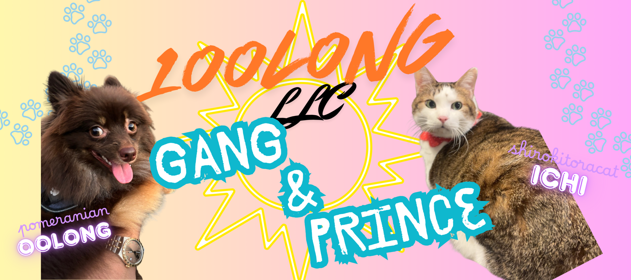 合同会社1oolong